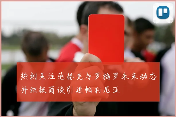 热刺关注范赫克与罗梅罗未来动态并积极商谈引进帕利尼亚