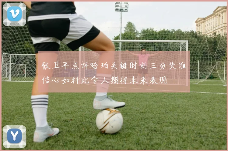 张卫平点评哈珀关键时刻三分失准信心如科比令人期待未来表现