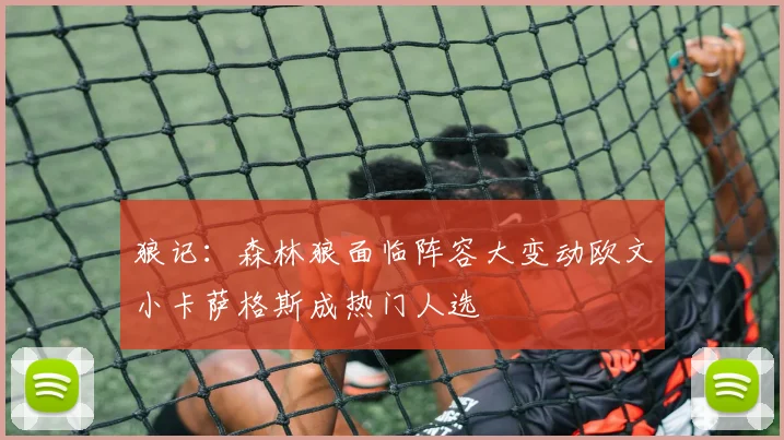 狼记：森林狼面临阵容大变动欧文小卡萨格斯成热门人选